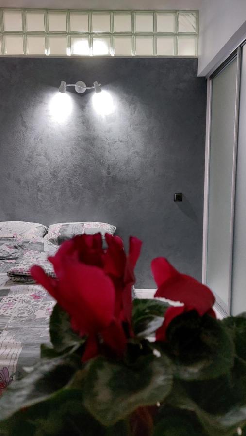 Apartman 23 베오그라드 외부 사진